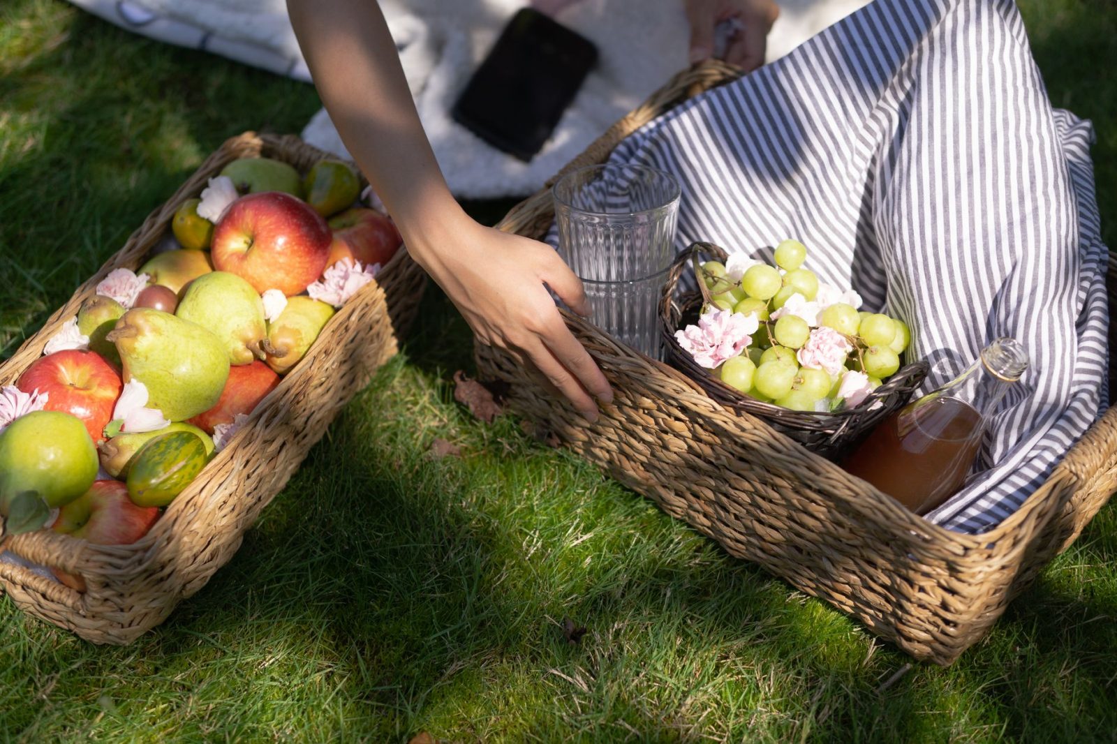 Coș de picnic pliabil: Cum să alegi modelul potrivit pentru ieșirile în natură